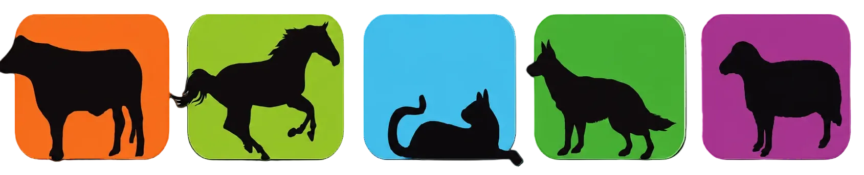 AGROMÉDICA VETERINARIA 33